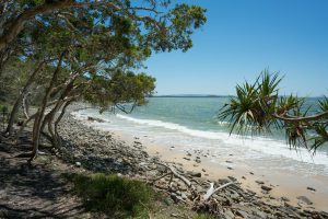 Isolated Beach in Noosa NP