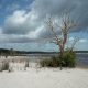 Driving Through Sand and Swimming in Natural Pools on Fraser Island