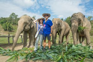Elephants and us near Chiang Mai